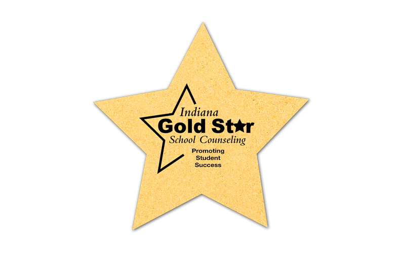 Star Compressed Sponge 4ST 2