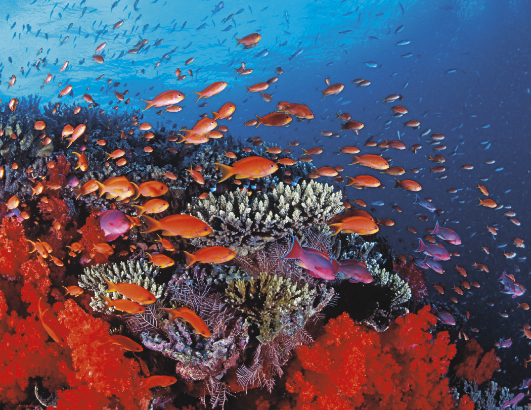 Good Value™ Ocean Glory - Stapled Calendar 21