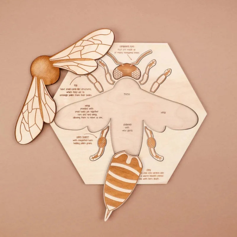 Bee Puzzle Educational Toy 3