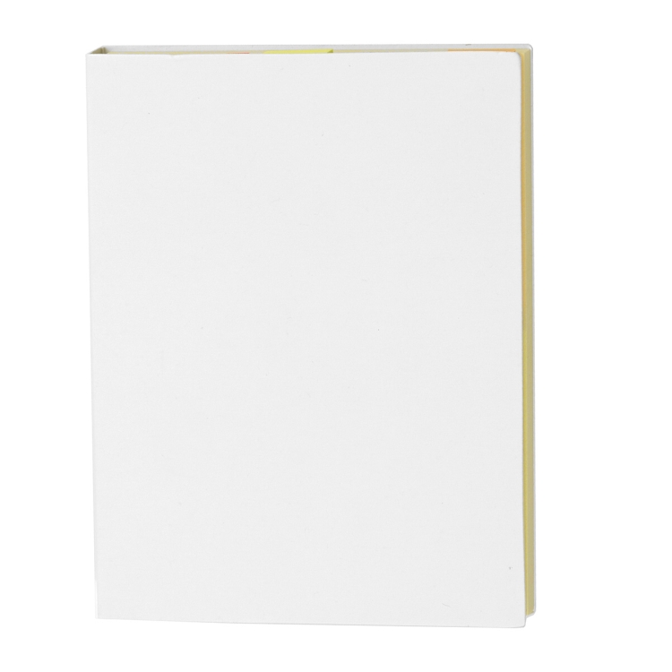 "LOOMIS" Small Eco Inspired Cover Sticky Notes & Flags 5