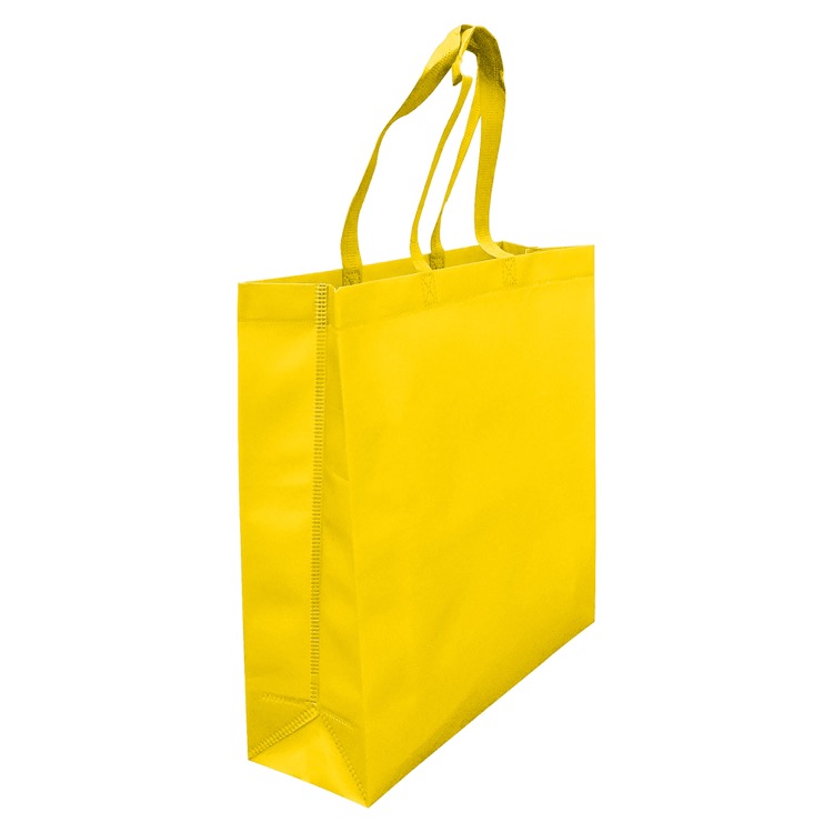 Laminated Non Woven Bag With Large Gusset 10