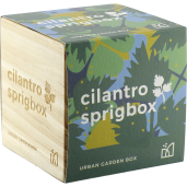 Sprigbox Cilantro Grow Kit 26