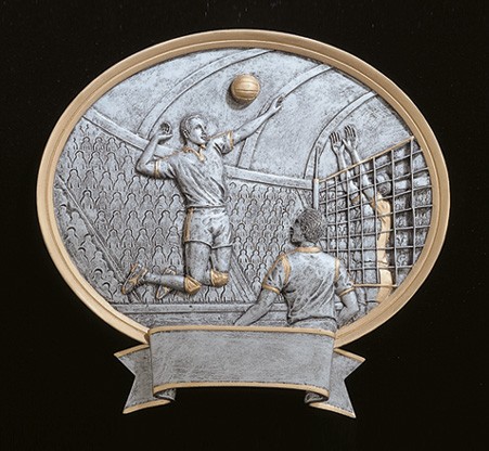8" Volleyball Male Legend Plate 2