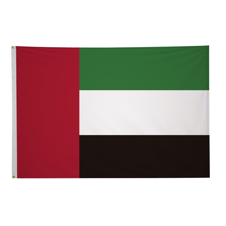 4' x 6' International Flags 293