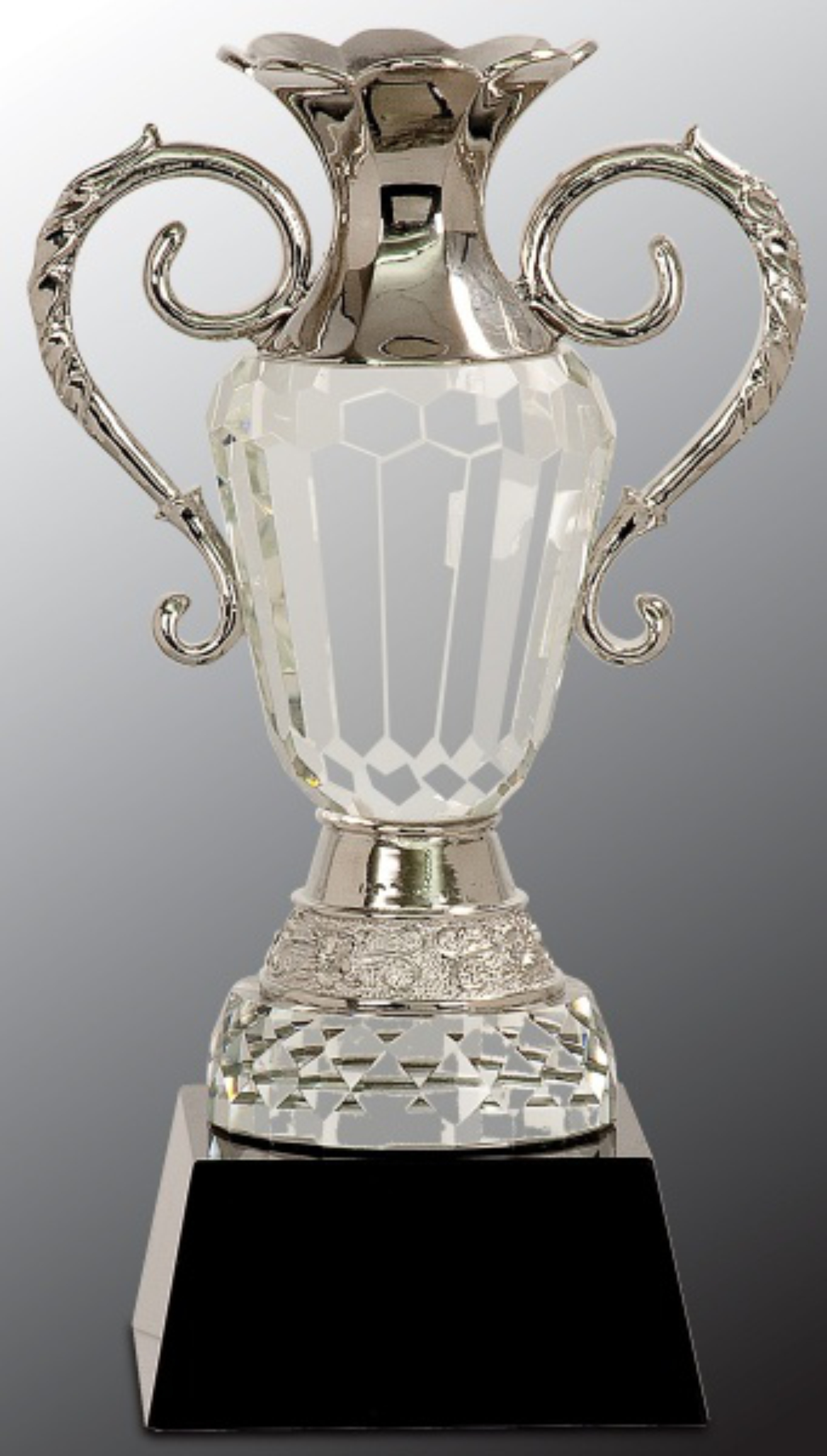10" Crystal Cup with Silver Metal Handles on Black Pedestal Base Award 2