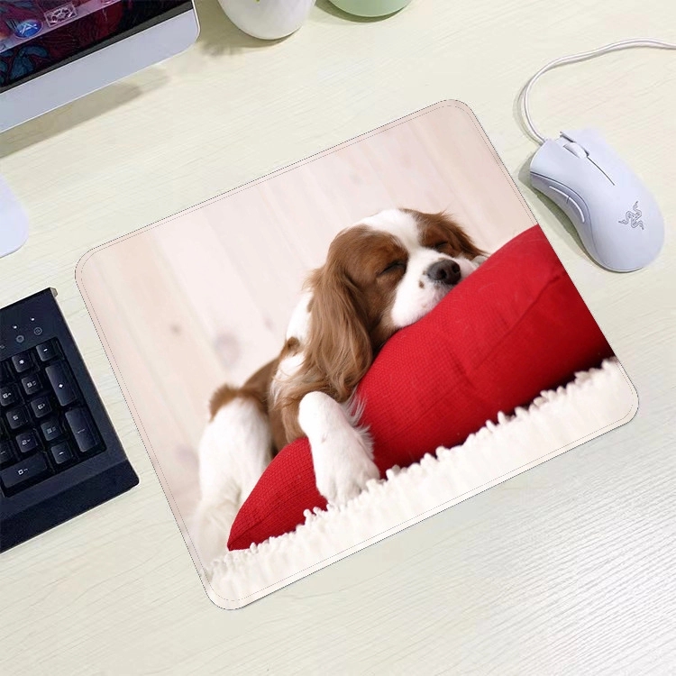 Mouse Pad 1