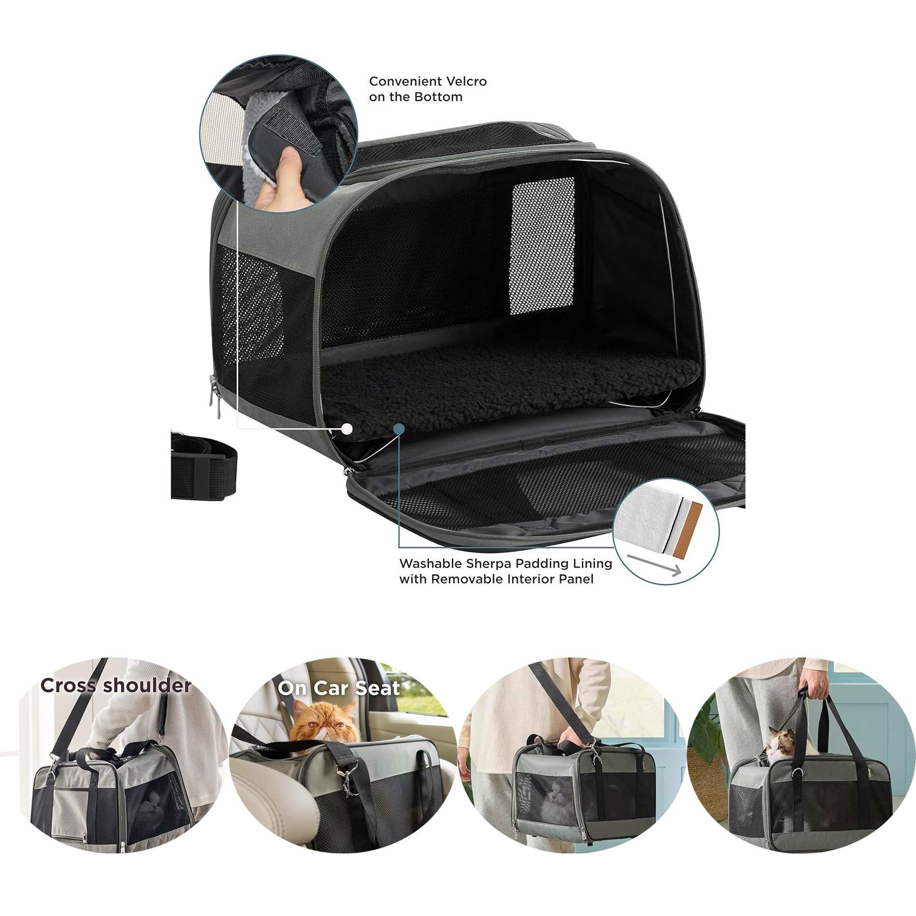 Cat Dog Carrier 2