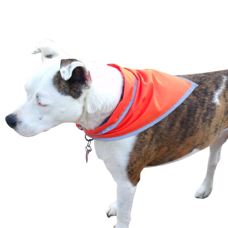 Reflective Triangle Pet Bandanna 4