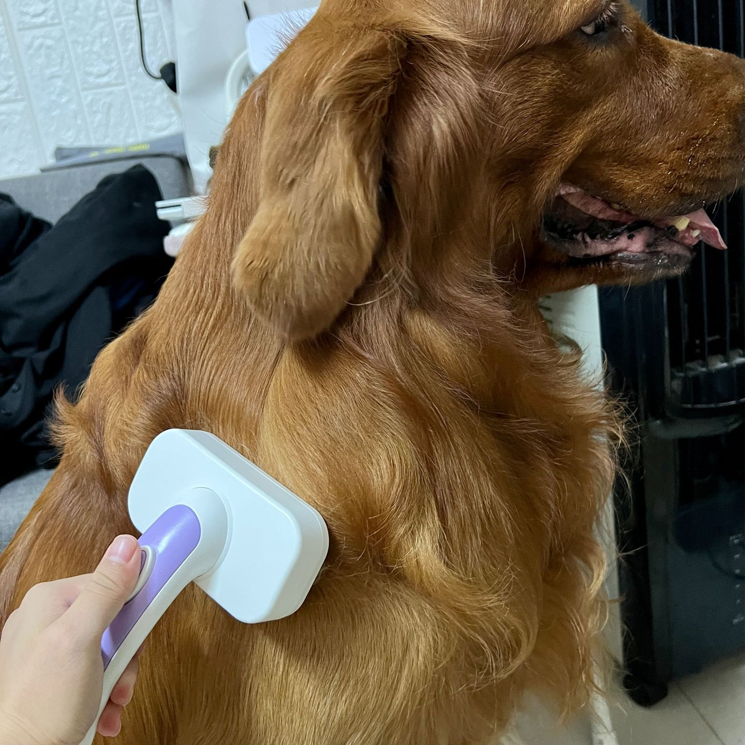 Portable Plastic Pet Deshedding Brush w/ Soft Bristles 13