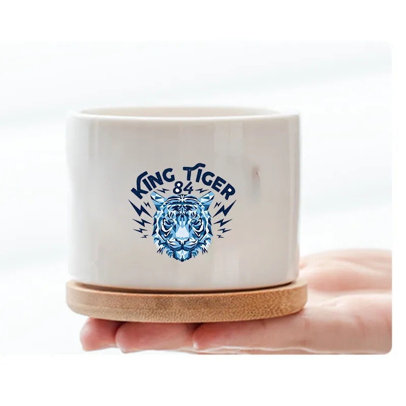 Super Cute White Ceramic Flower Pots 2