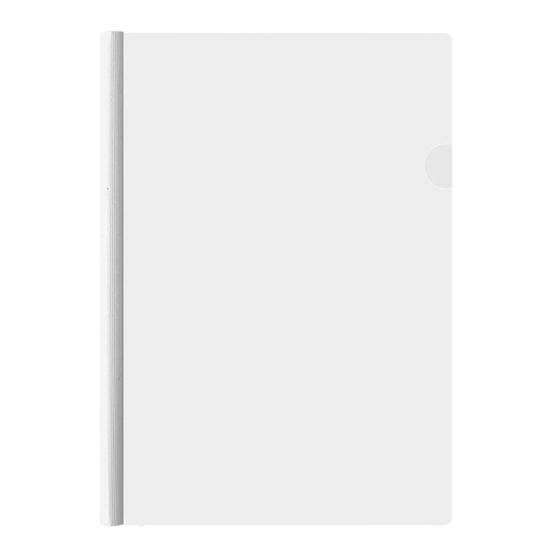 File Organizer 6