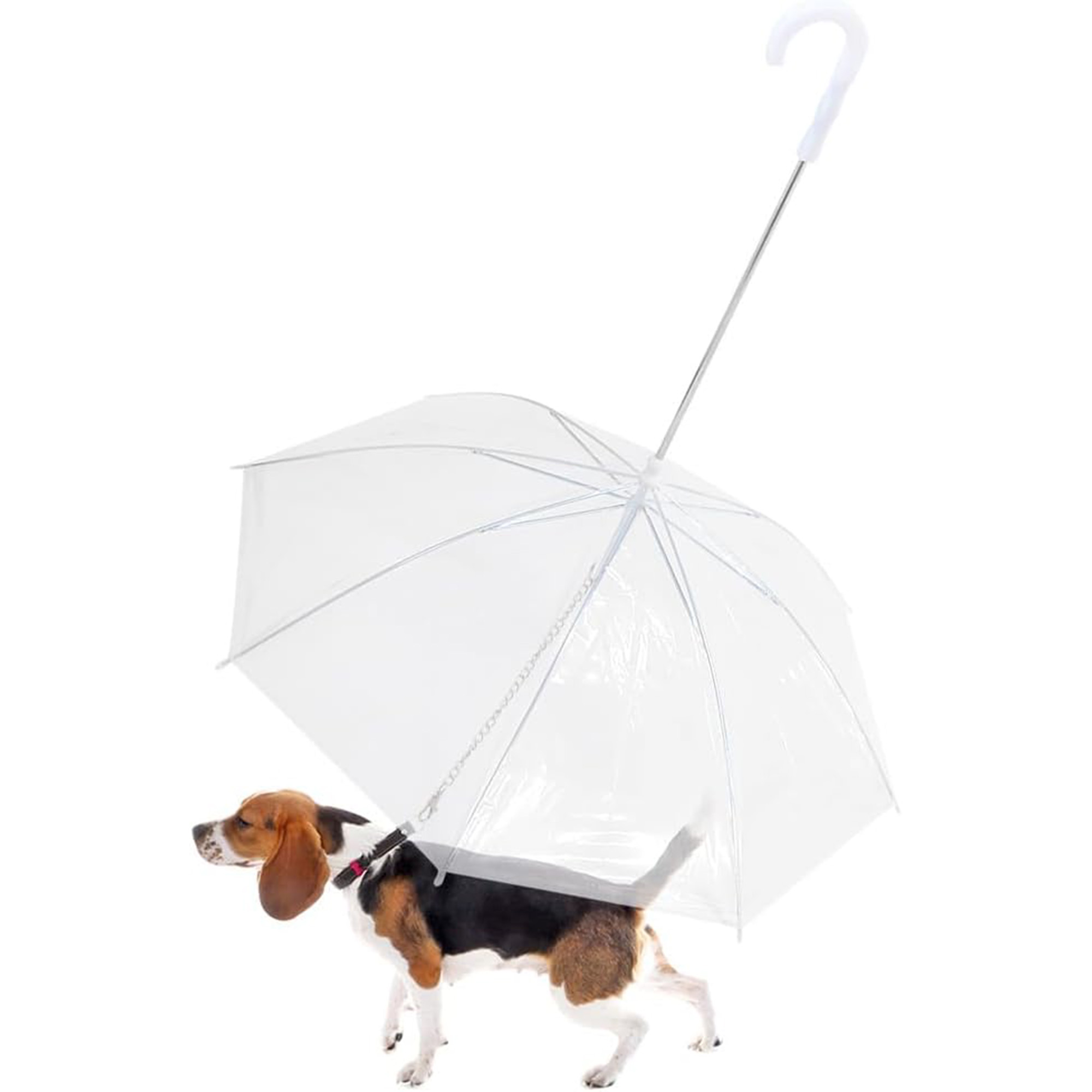 RainGuard Personalized Pet Canopy 2