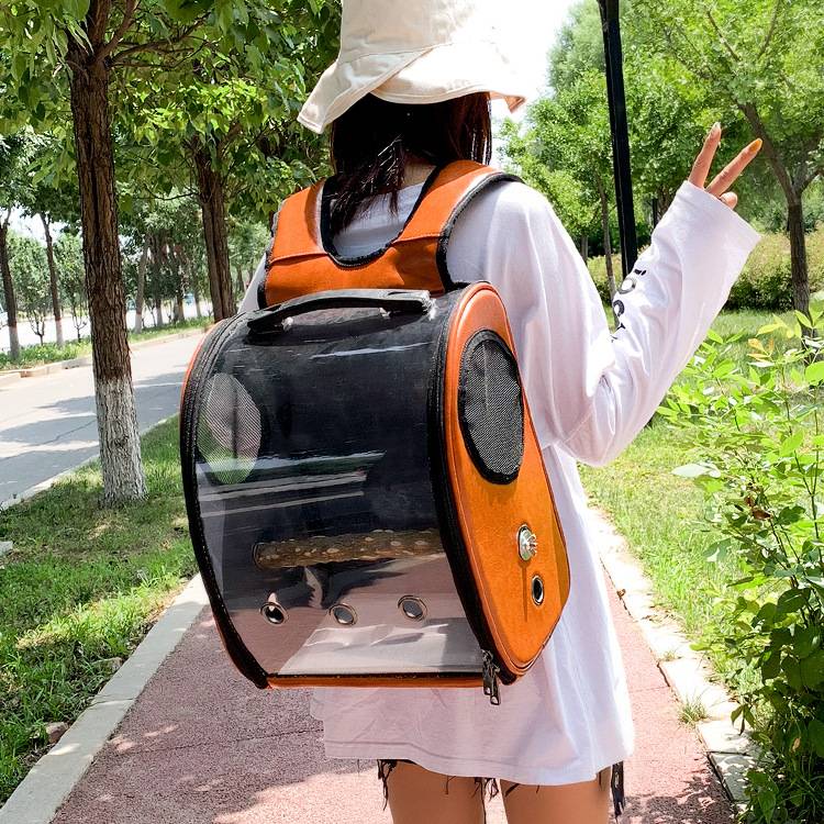 Clear Breathable Parrot Outdoor Backpack 3