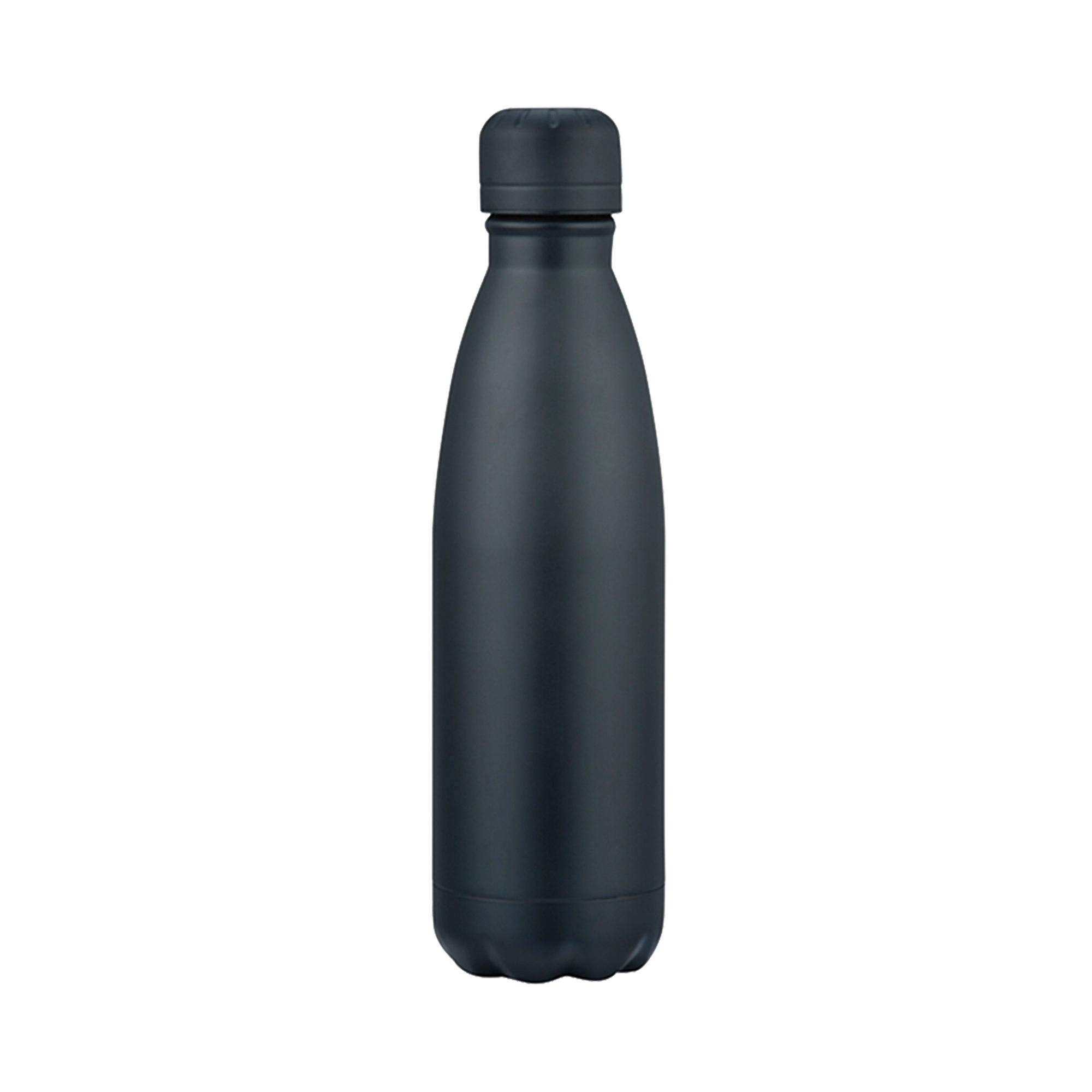 Stainless Double Wall Vacuum Bottle - 17oz