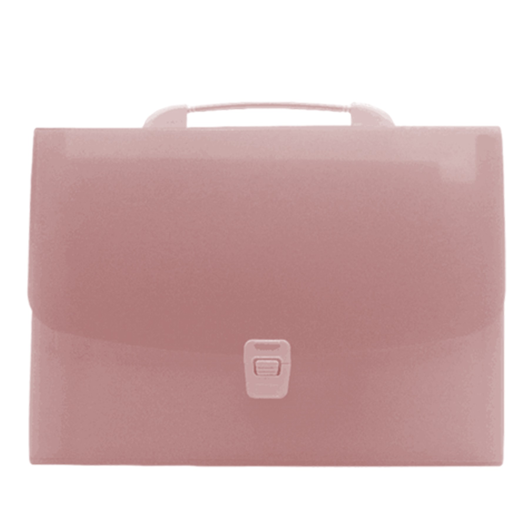 Portable Translucent Folder Bag 10
