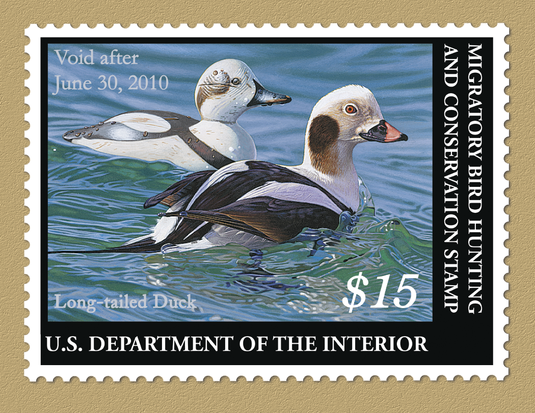 Triumph® Calendars Duck Stamps Calendar 12