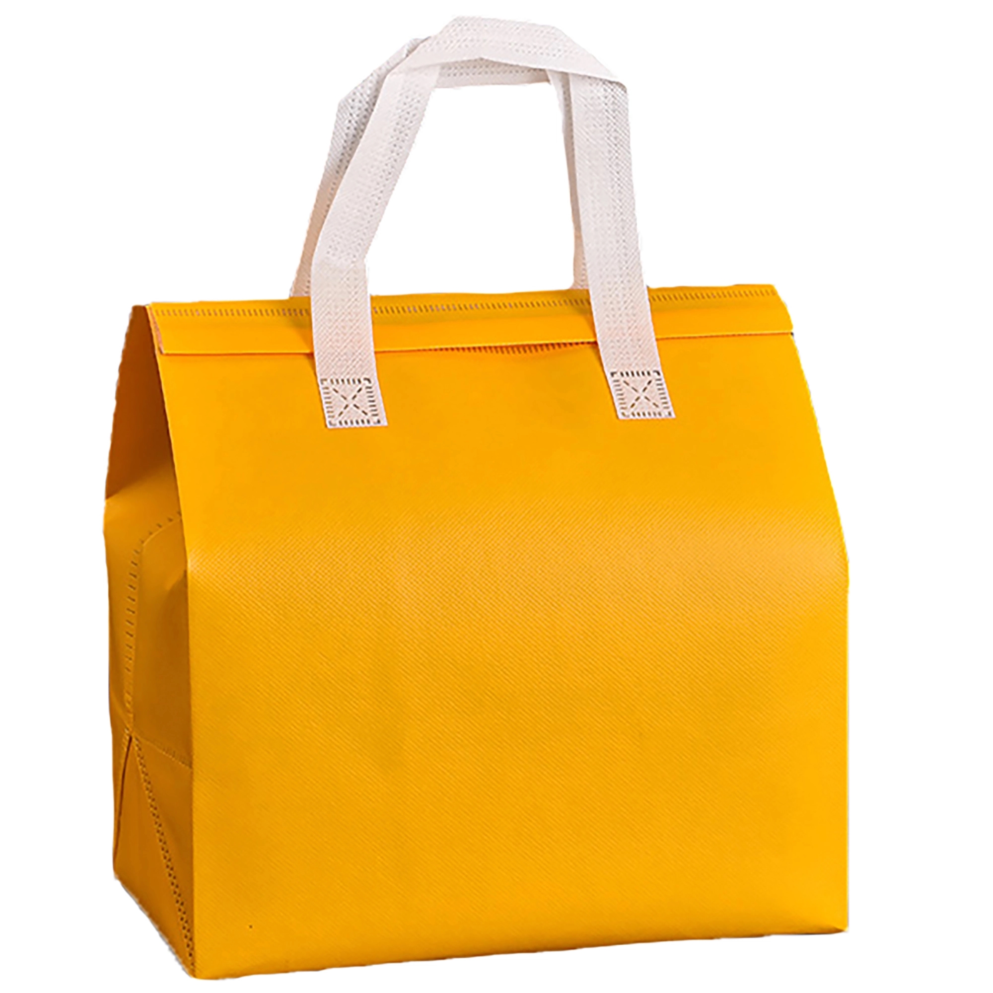 MOQ 50pcs Disposable Non-Woven Insulation Bag 8