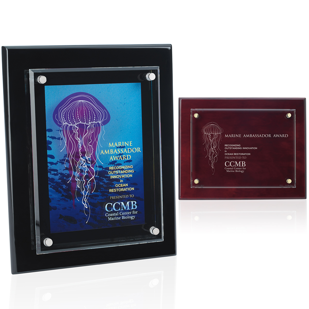 JAFFA® Floating Glass Plaque - 8" x 10" 2