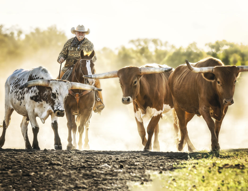 Triumph® Calendars Visions of the West Calendar 55