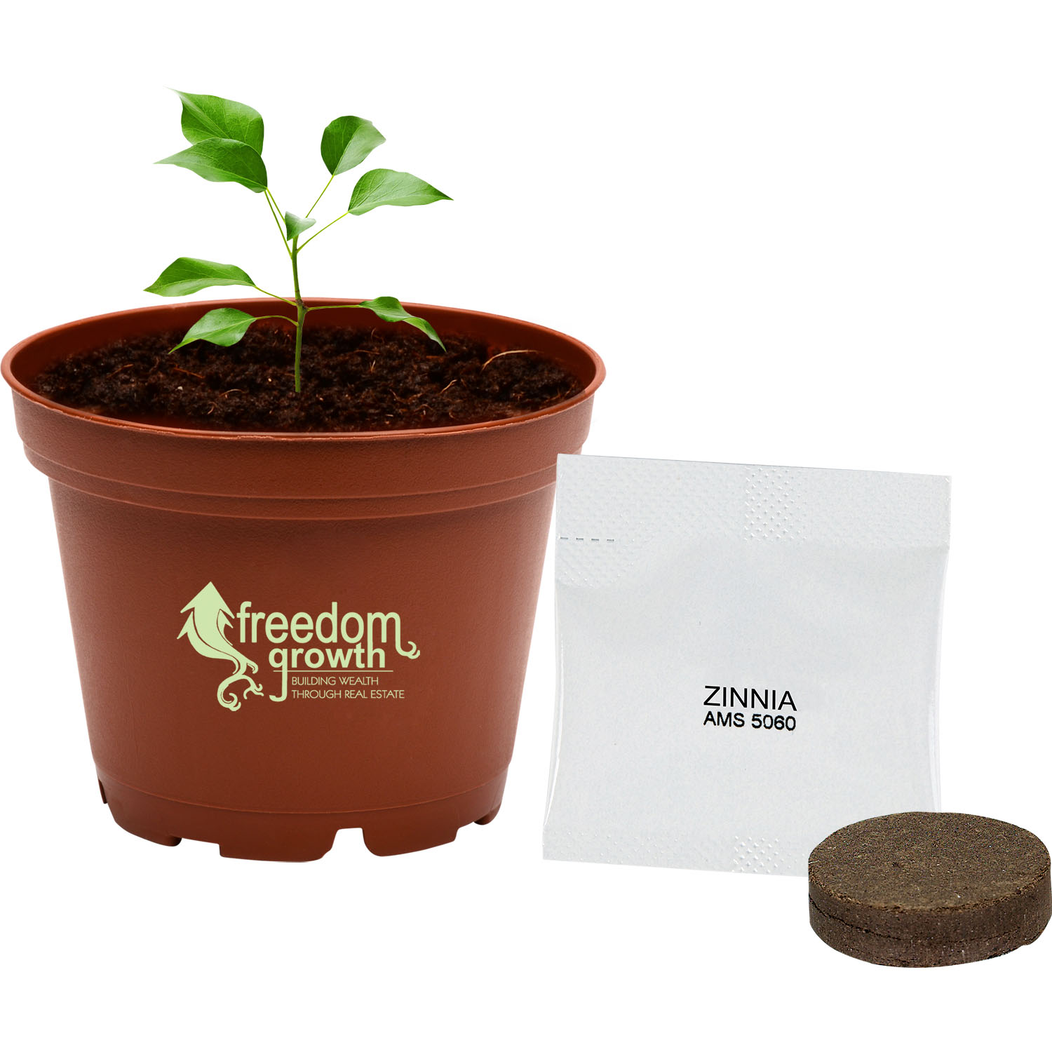 Terra Cotta Wee Planter Kit 2