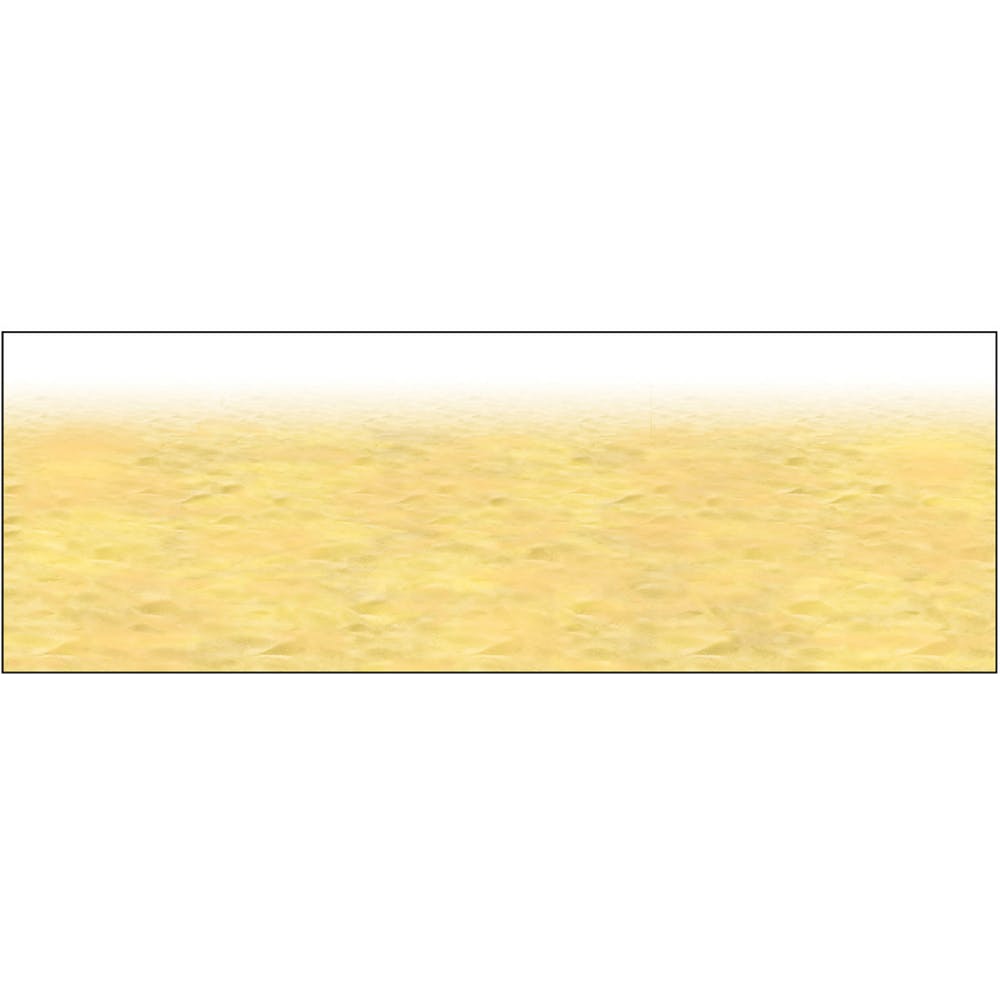 Ocean Floor Borders - 24" x 30' 2
