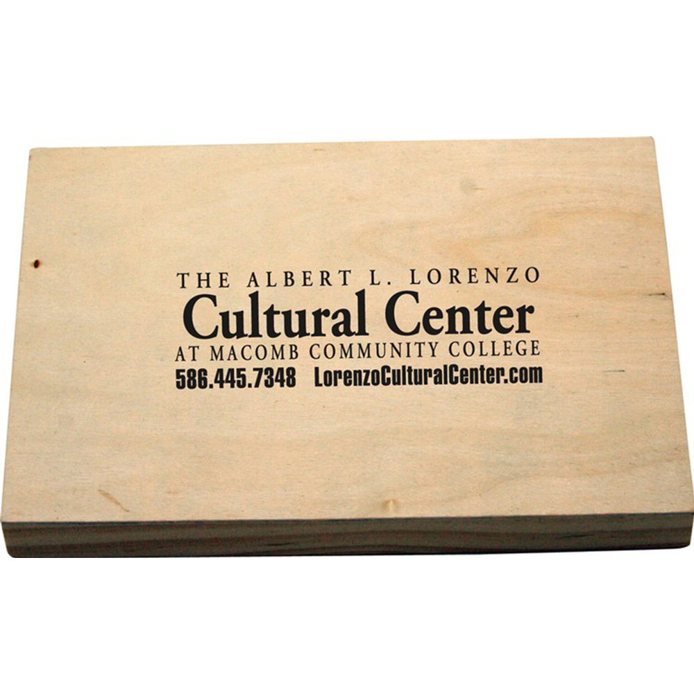 Wood Shapes Challenge Puzzle 12