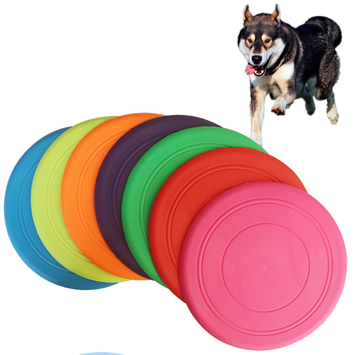 Pet Flying Discs 3