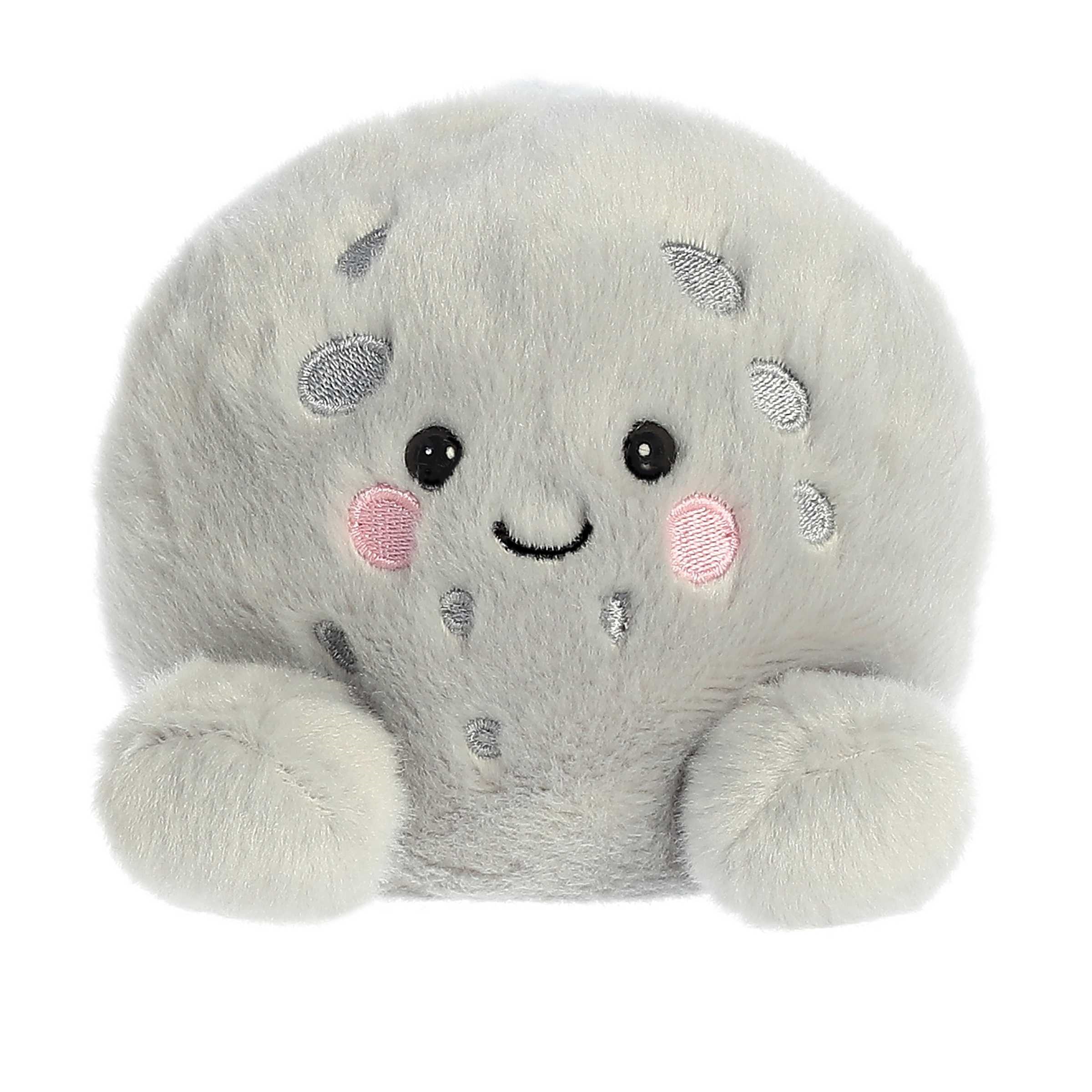 5" Bean Bag Moon 1