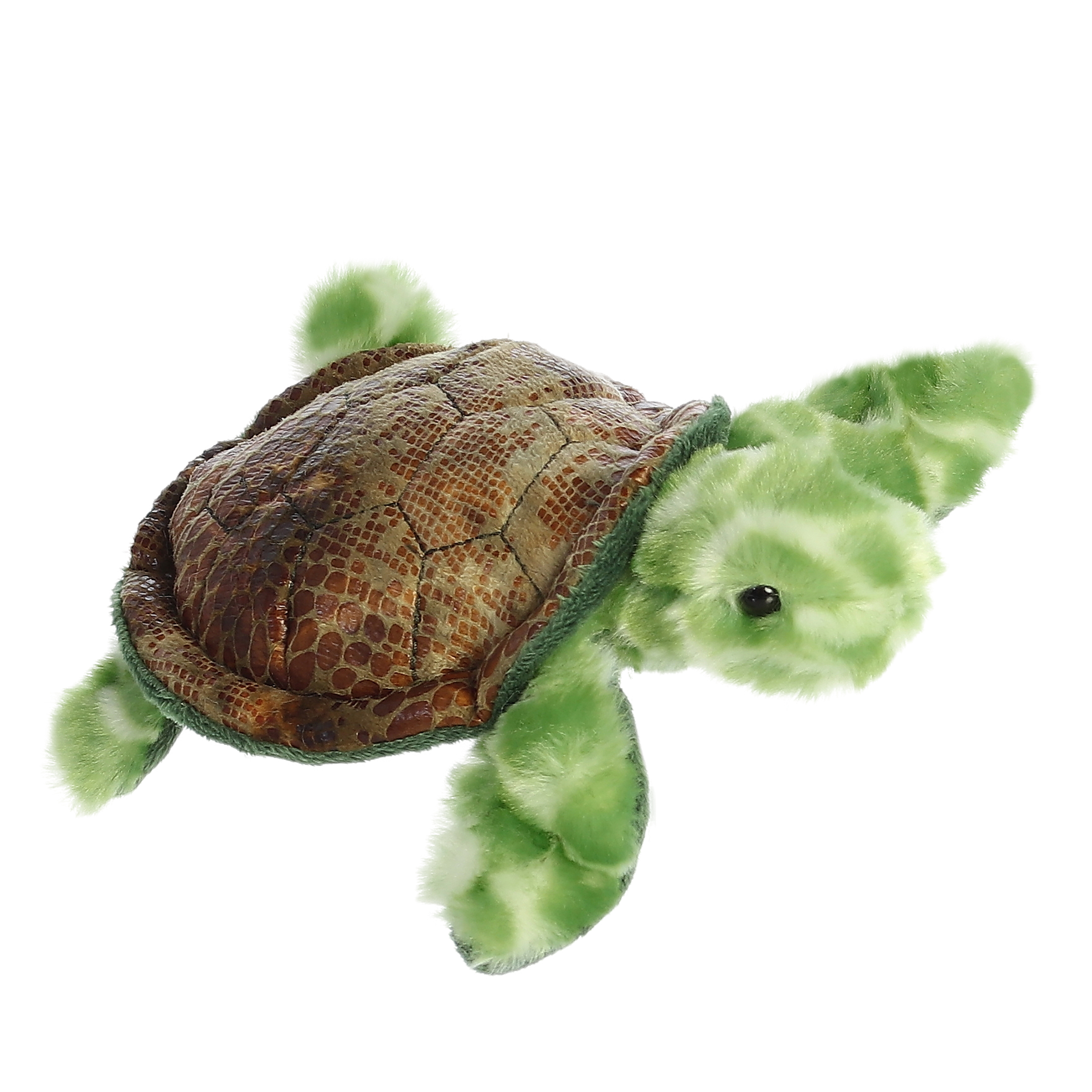 8" Sea Turtle 1