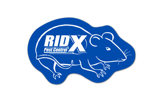Rat/Mouse Vinyl Jar Opener 99