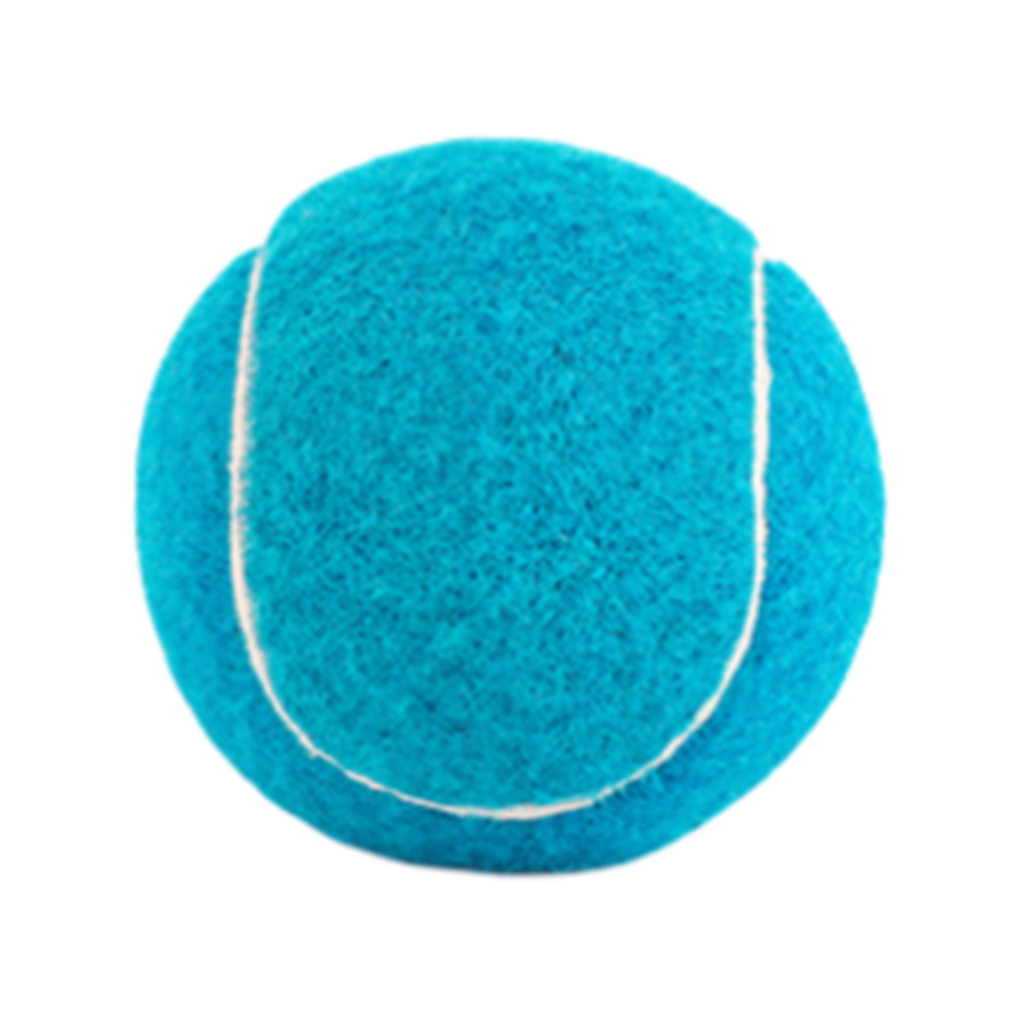 Training Dog Toy Tennis Ball 4