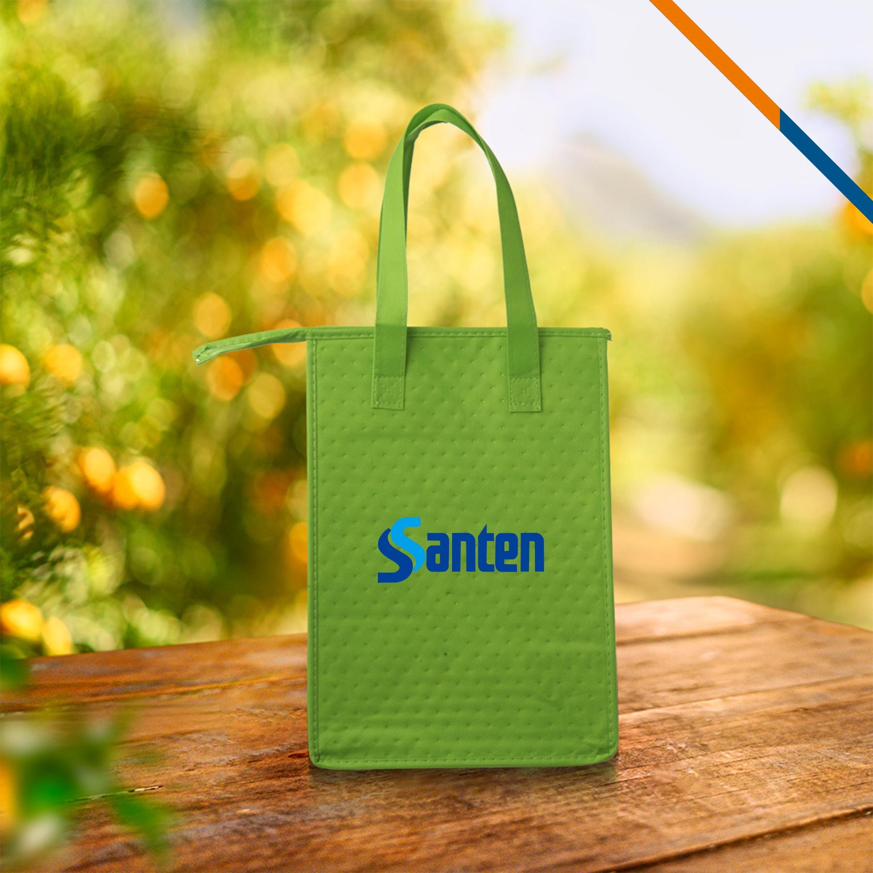Lacey Insulated Lunch Bags 11