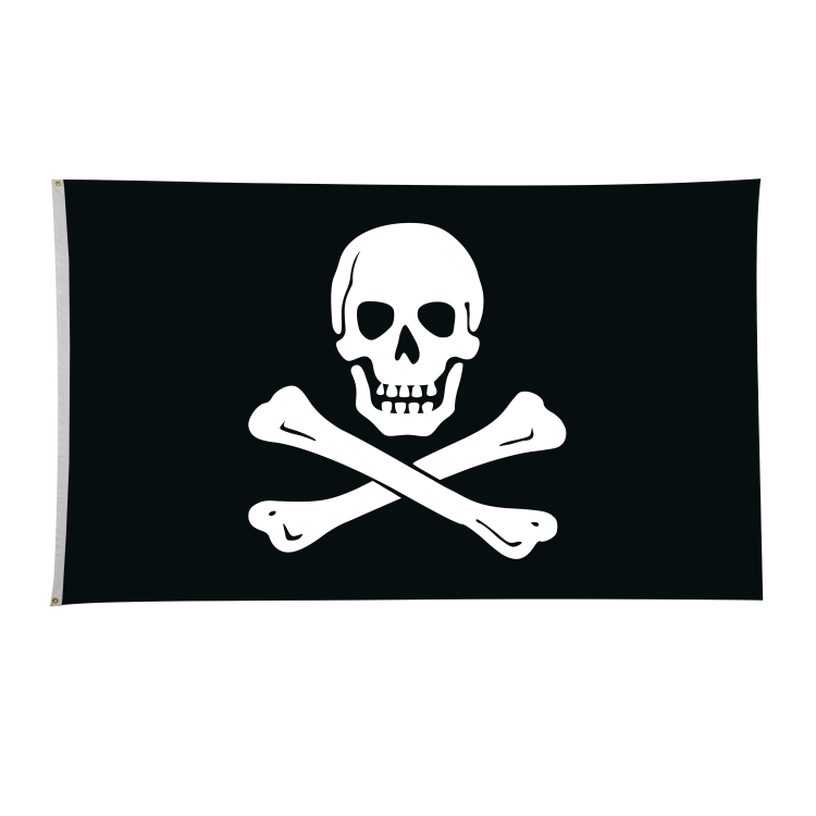 6' x 10' Historical Flags 2