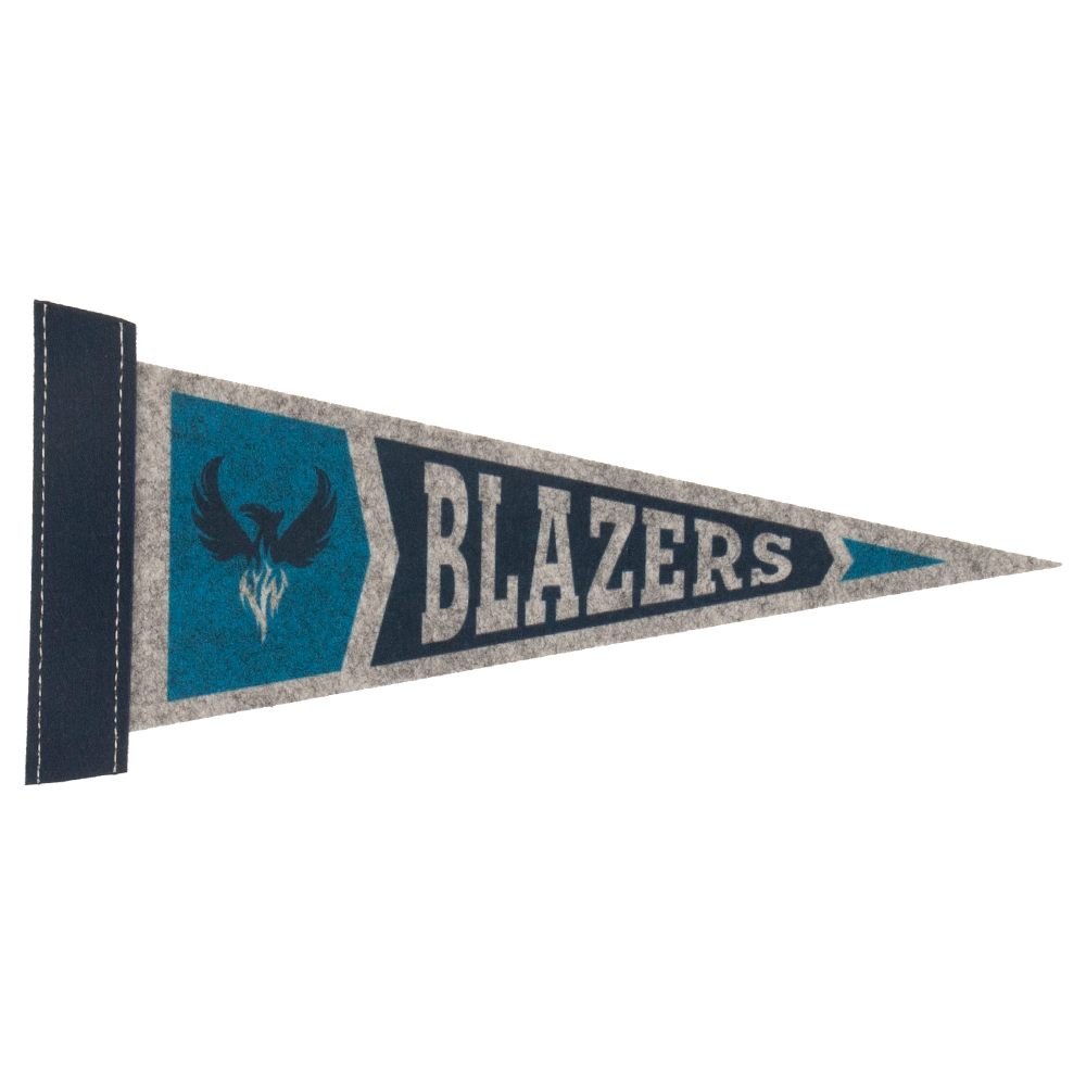 4" x 10" Full Color Felt Pennant 5
