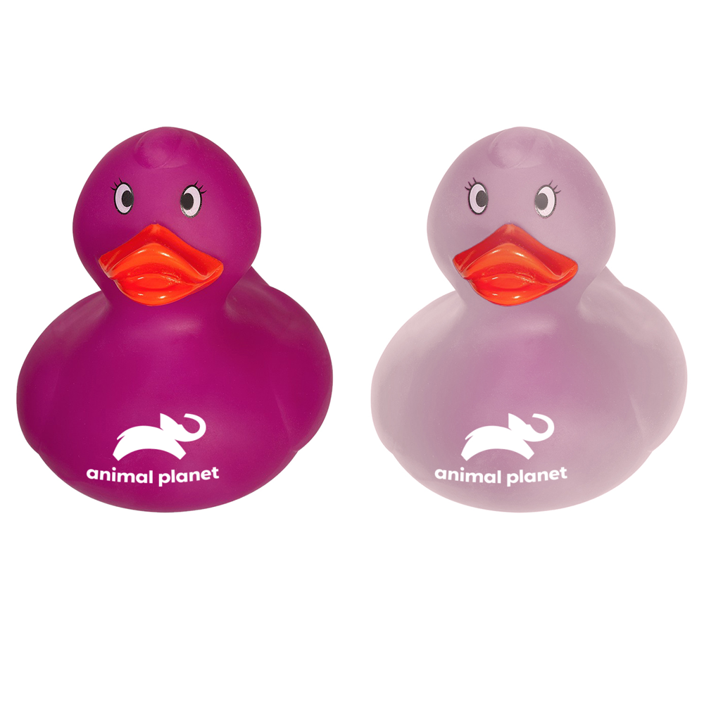 Color Changing Duck 6