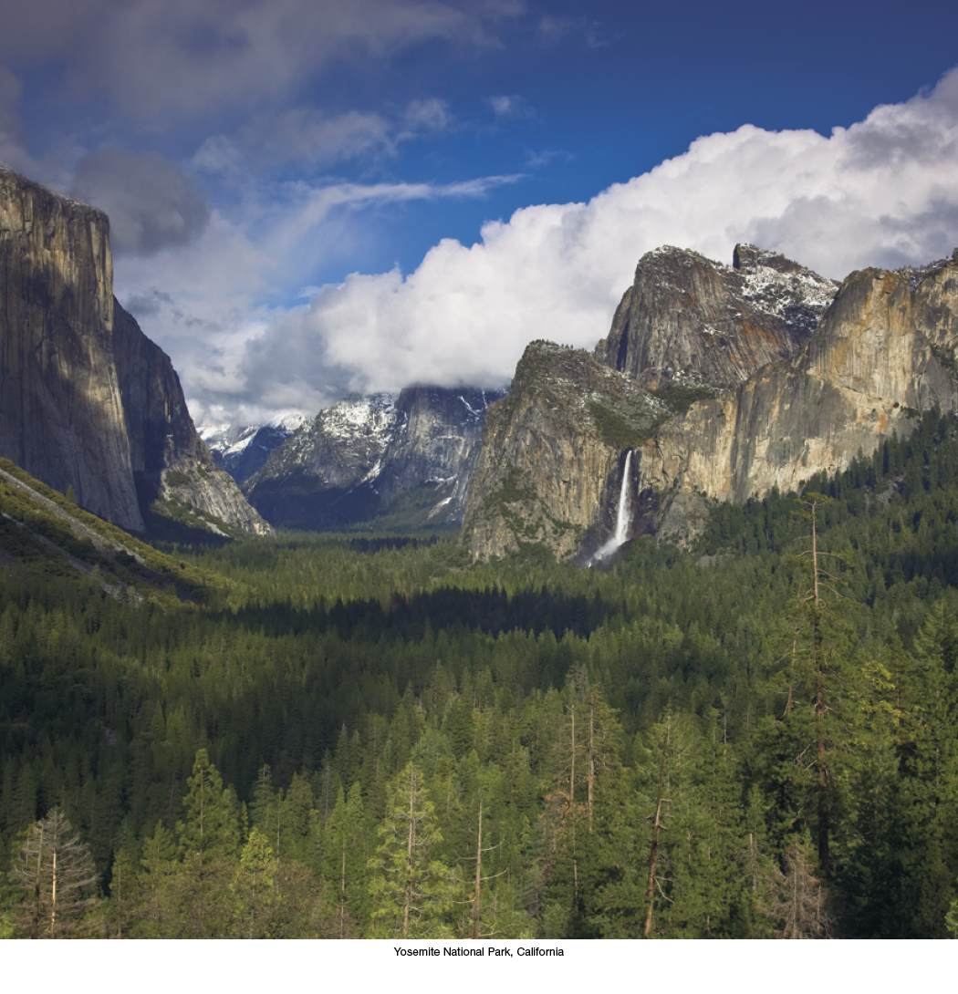 HotLine® Products Scenic America® Executive 8