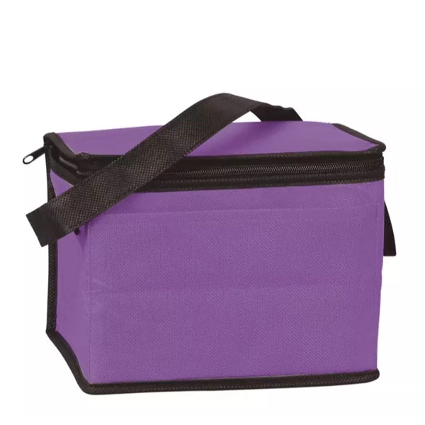 Portable 6 Can Pack Insulated Non Woven Cooler Bag 6