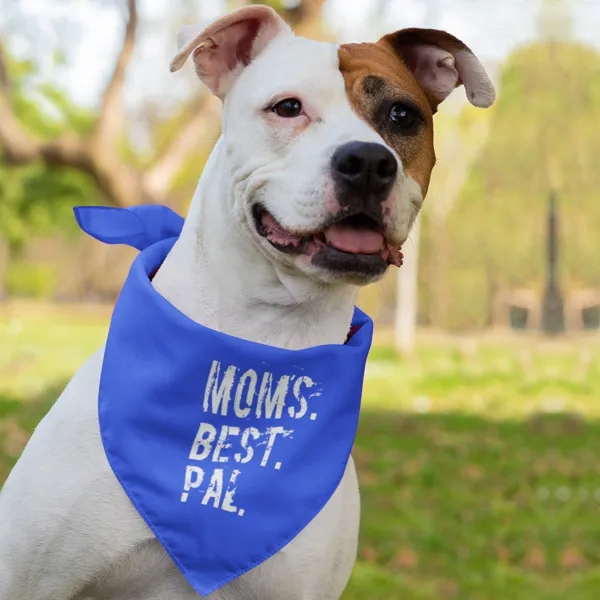 Pet Bandana Scarf 15