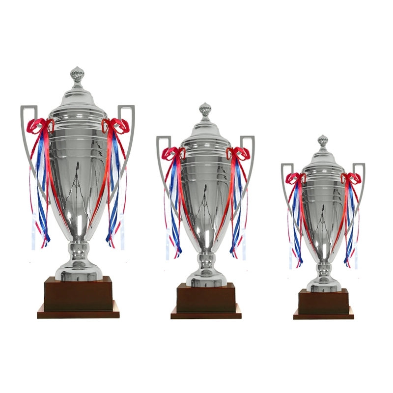 Silver Cast Metal Trophy Cup 2