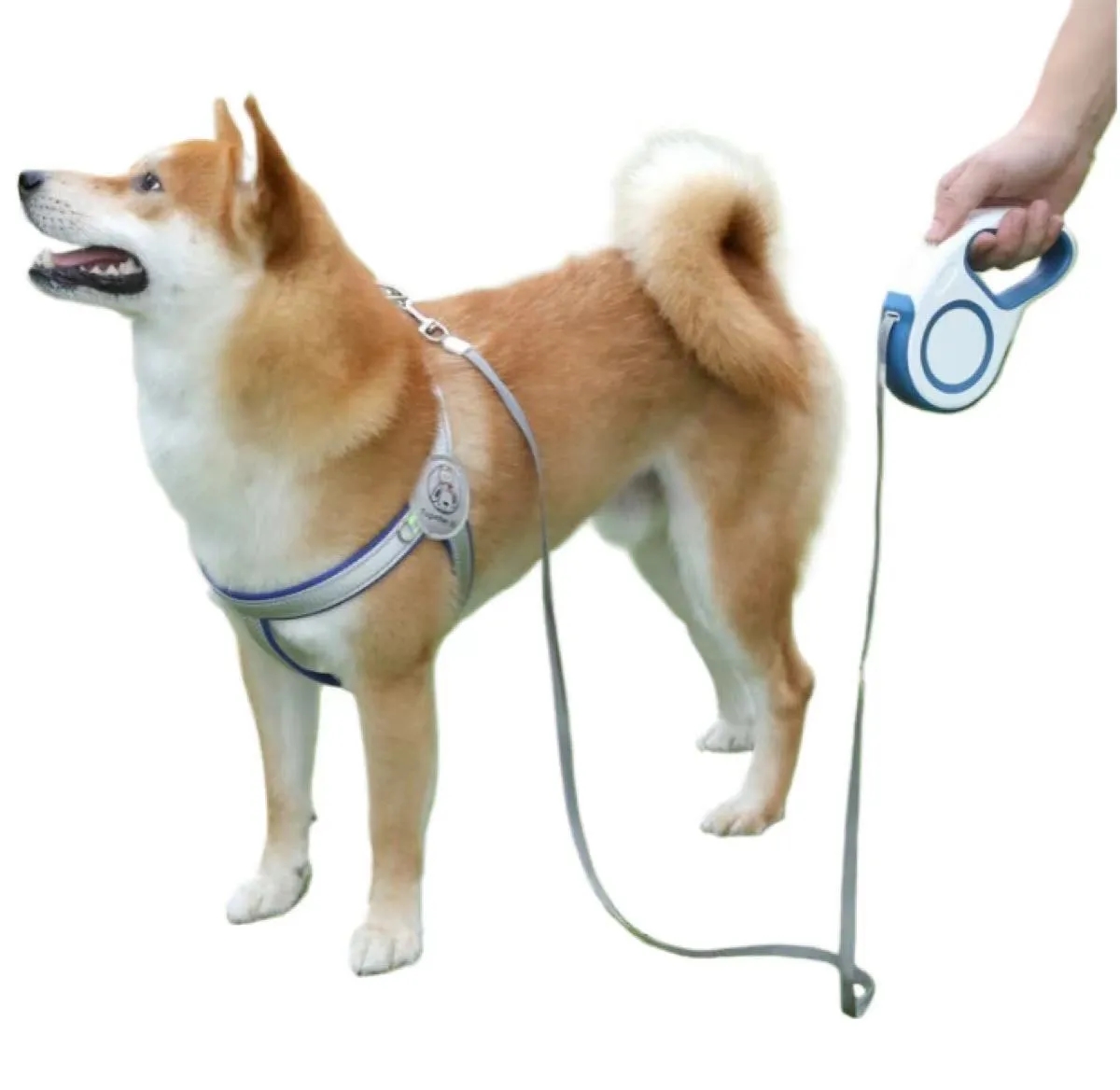 Retractable Dog Leash Rope 3
