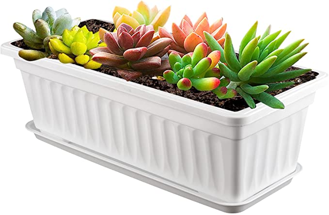 17 Inches Plastic Vegetable Rectangular Planters /Trays 3
