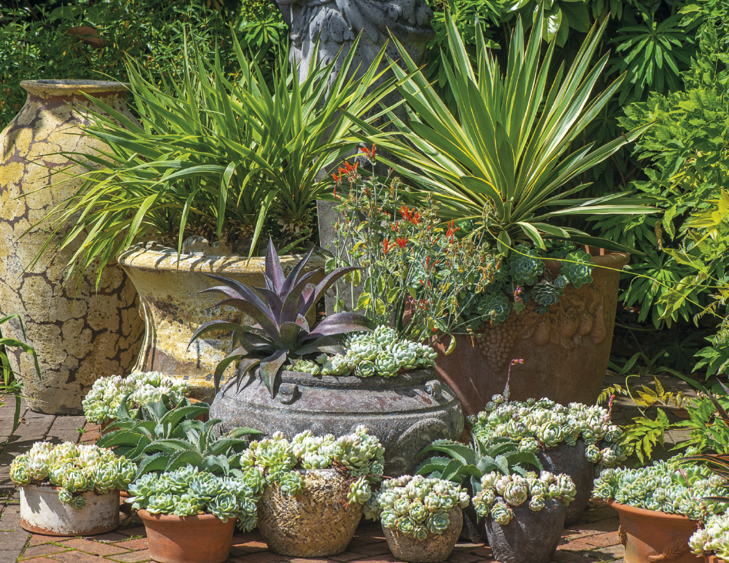 Good Value™ Garden Walk - Stapled Calendar 26