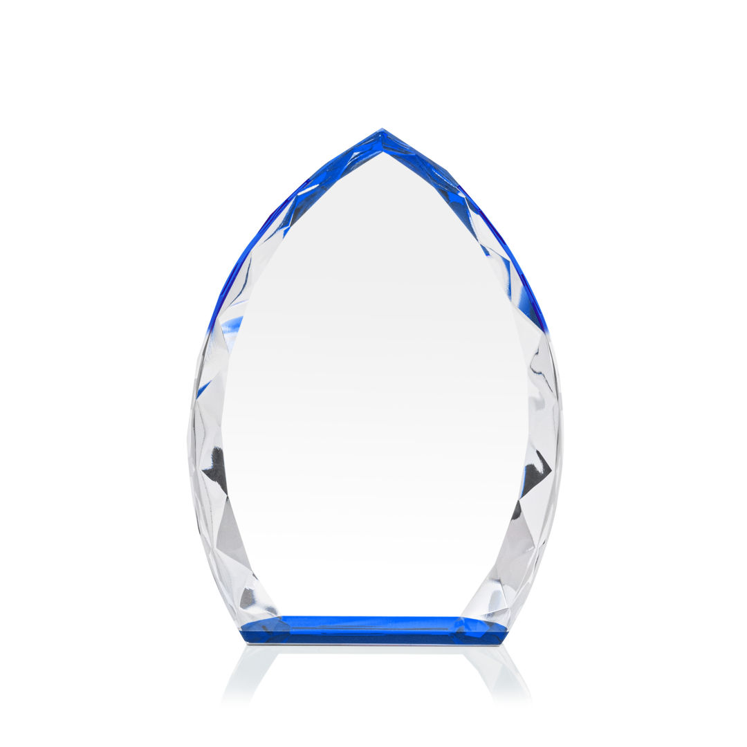 Wilton Award - Blue 2