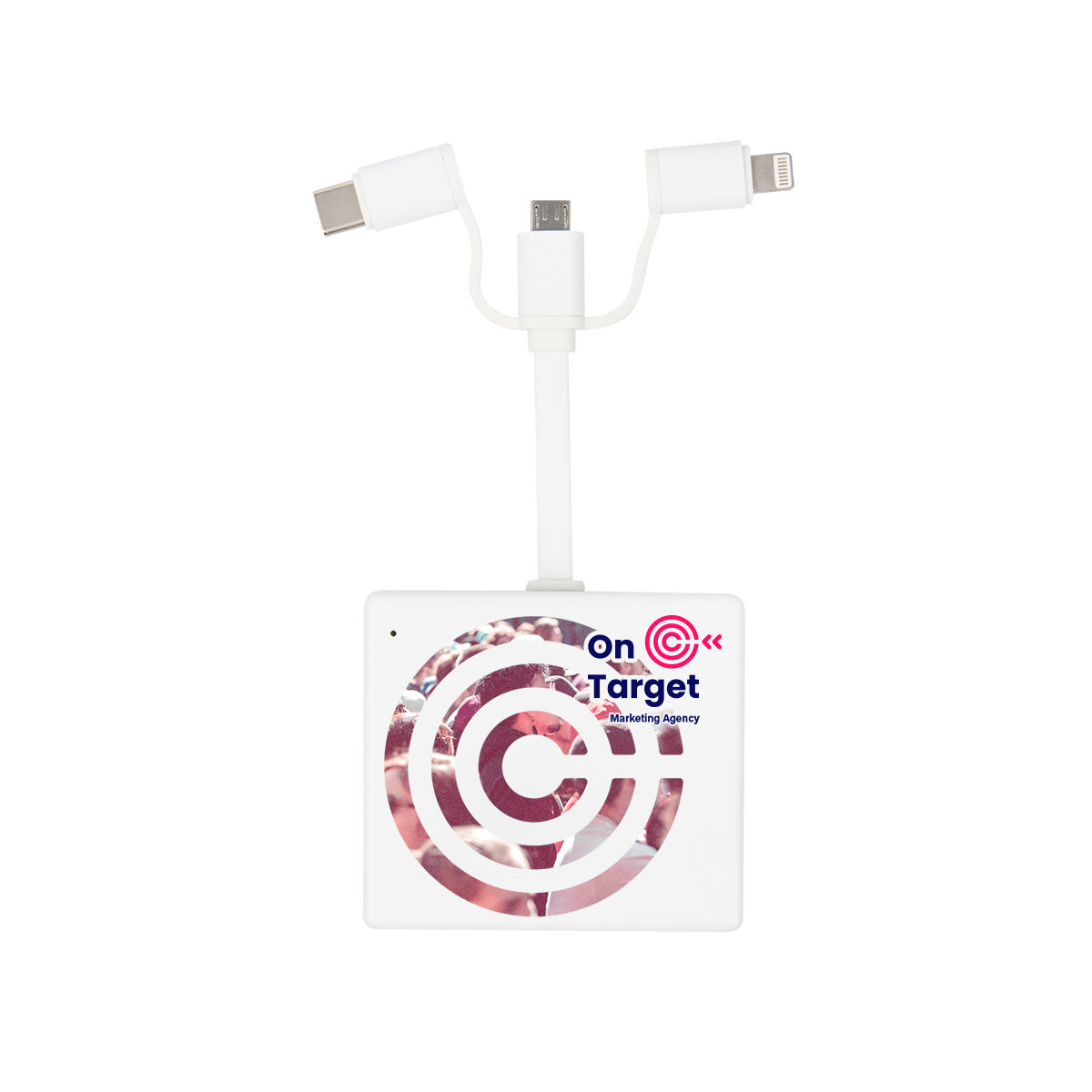 FlaminGo 3-In-1 Pre-Charged Charger 2