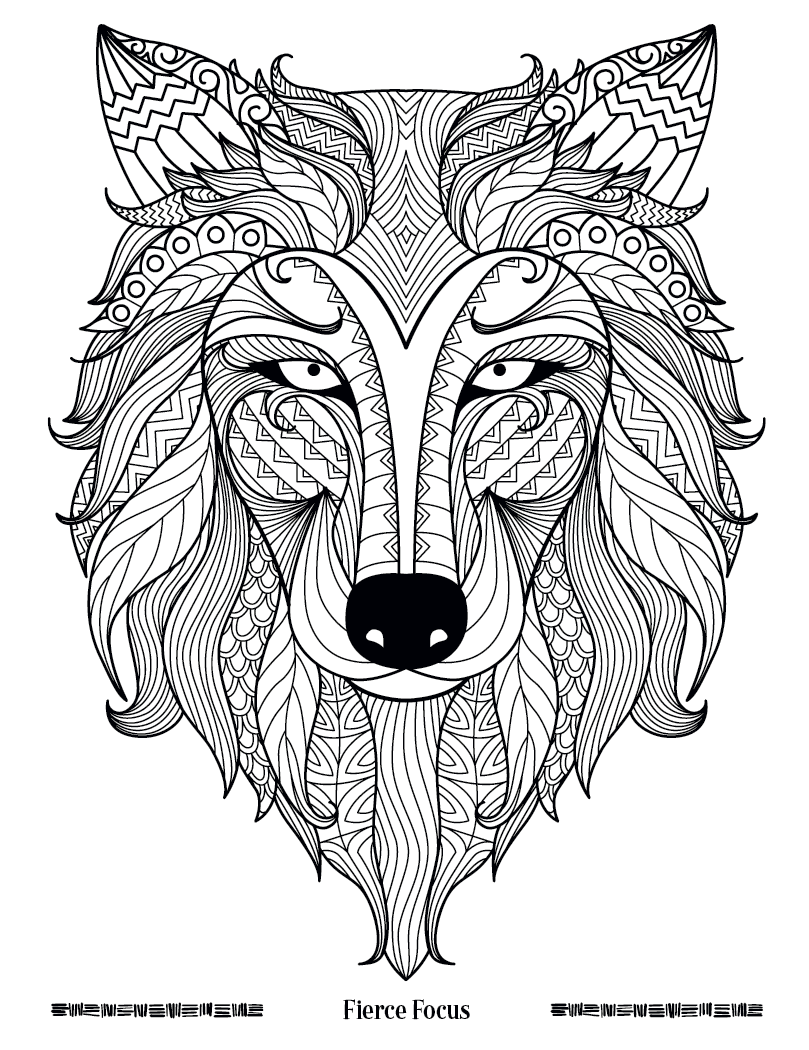 Good Value™ Wild Wonders Adult Coloring Book 8