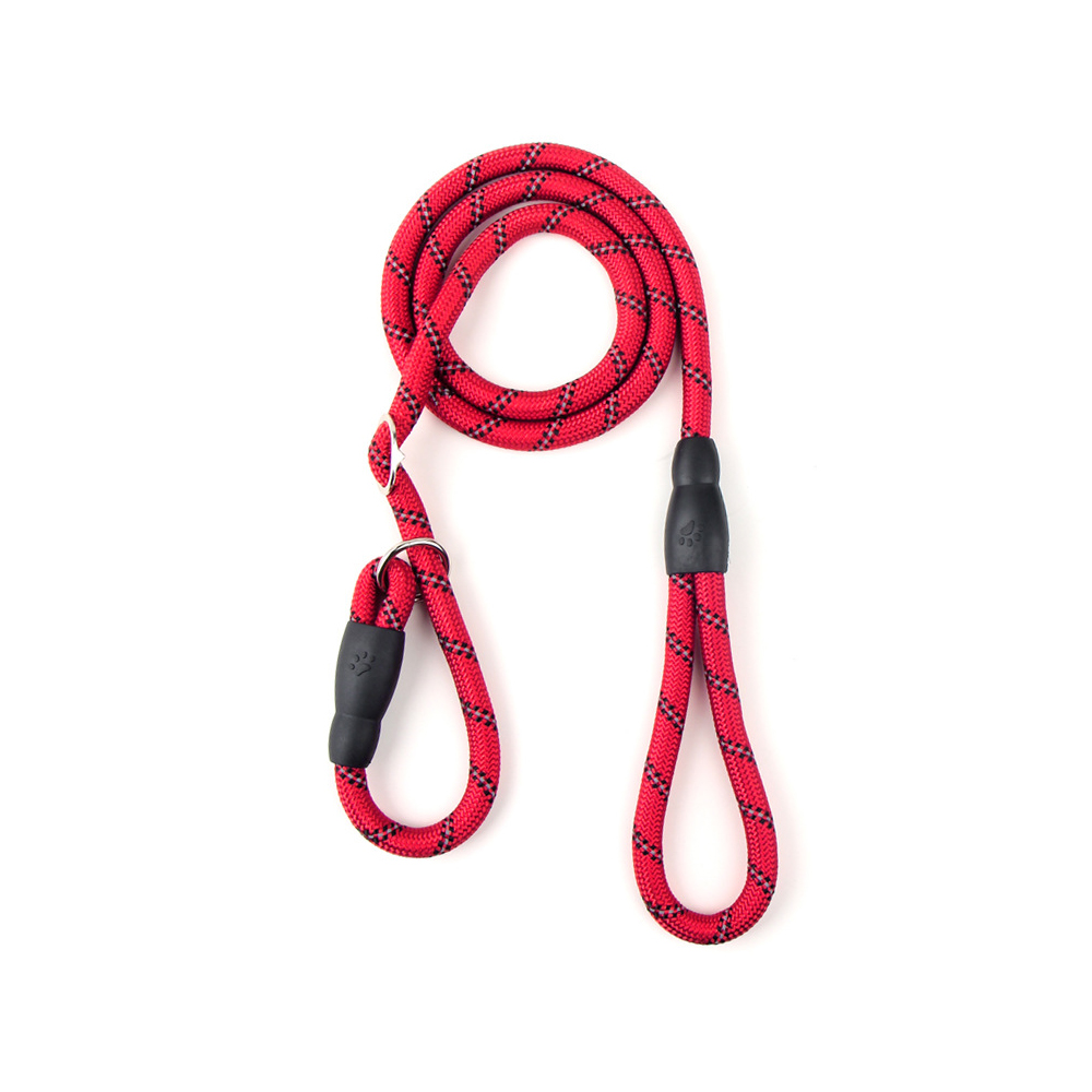 Pet Leash 4