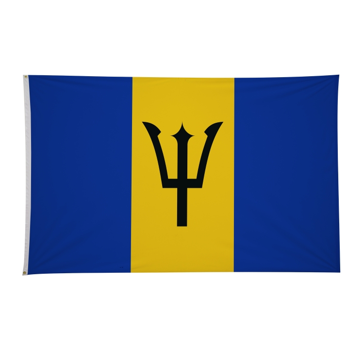 5' x 8' International Flags 234