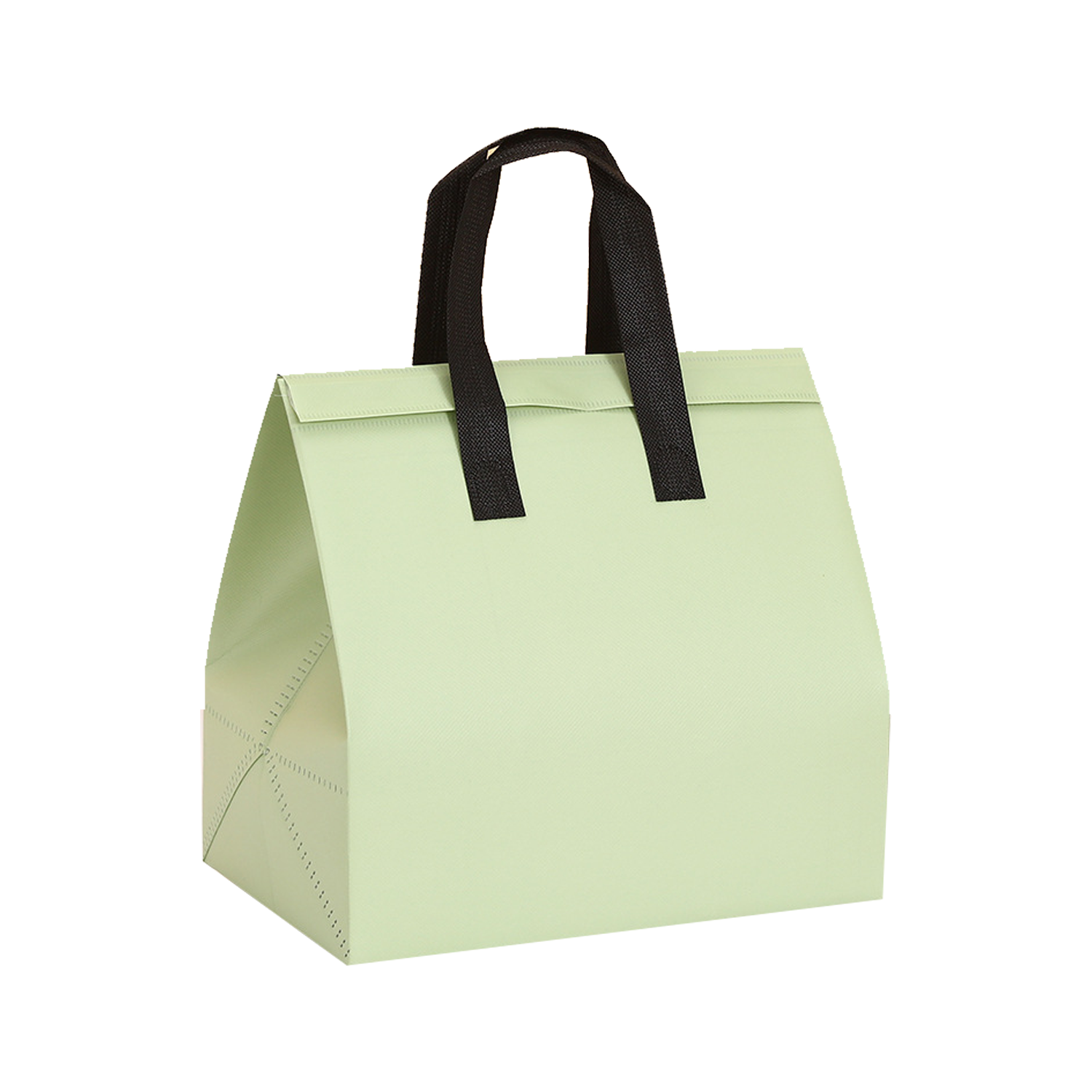 Disposable Insulated Bag 5