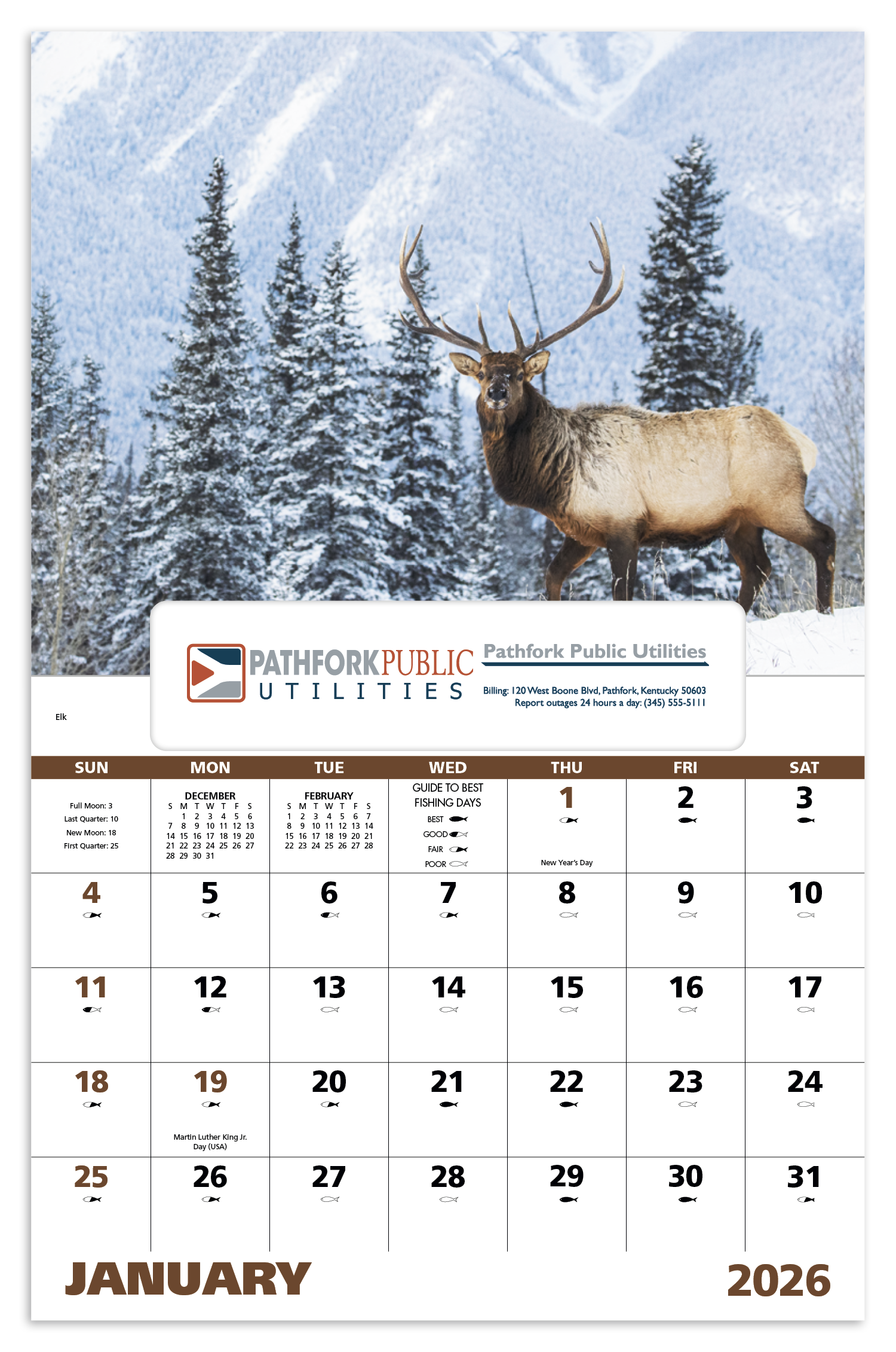 Good Value™ Wildlife Portraits - Window Calendar 24