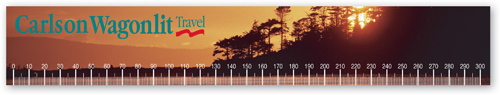 Vinyl Ruler - Rectangle (2"x12.25")